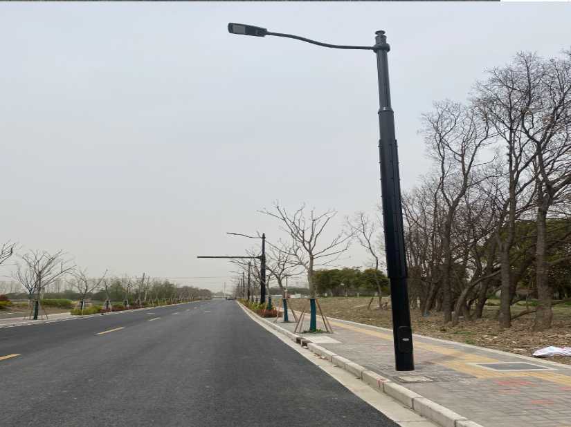 尼玛县上海综合杆 太阳能路灯工程